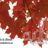 Otoño cultural 2011: Programa de actividades