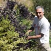 Un vecino de La Alpujarra recupera una huerta morisca para mostrar productos históricos