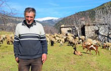 Pastor de ovejas y cosechador de habichuelas verdes en la sierra de Mecina Bombarón