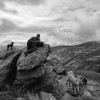 Fallo del jurado del tercer certamen de fotografía de Alpujarra de la sierra