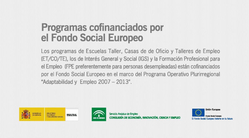 cartel-programas-sae-cofinanciados-fse-andalucia